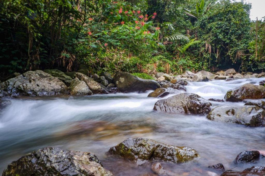 Hotel Parama Puncak Eksteriør bilde